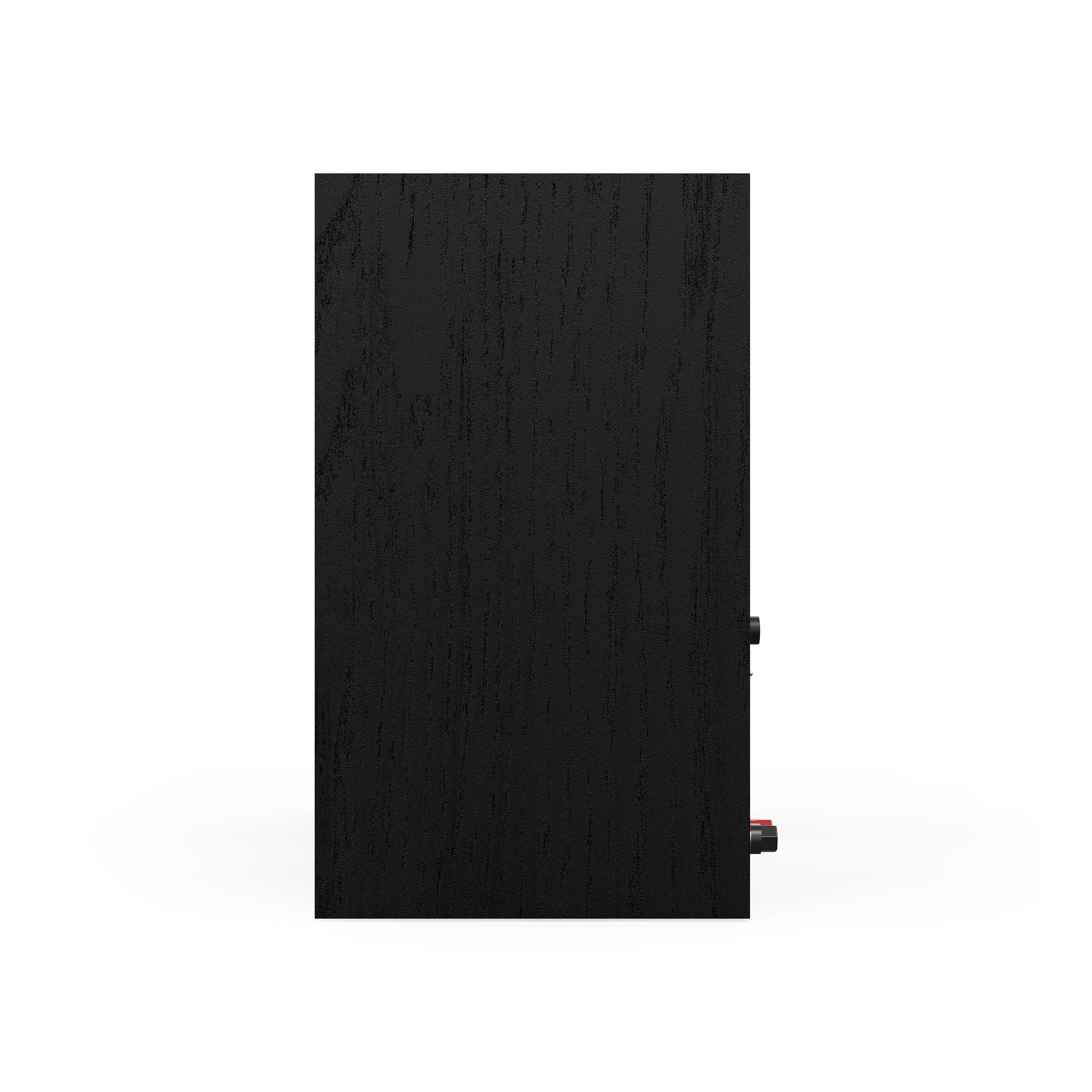 R-50PM 5.25" Two Way Powered Speaker (Pair)