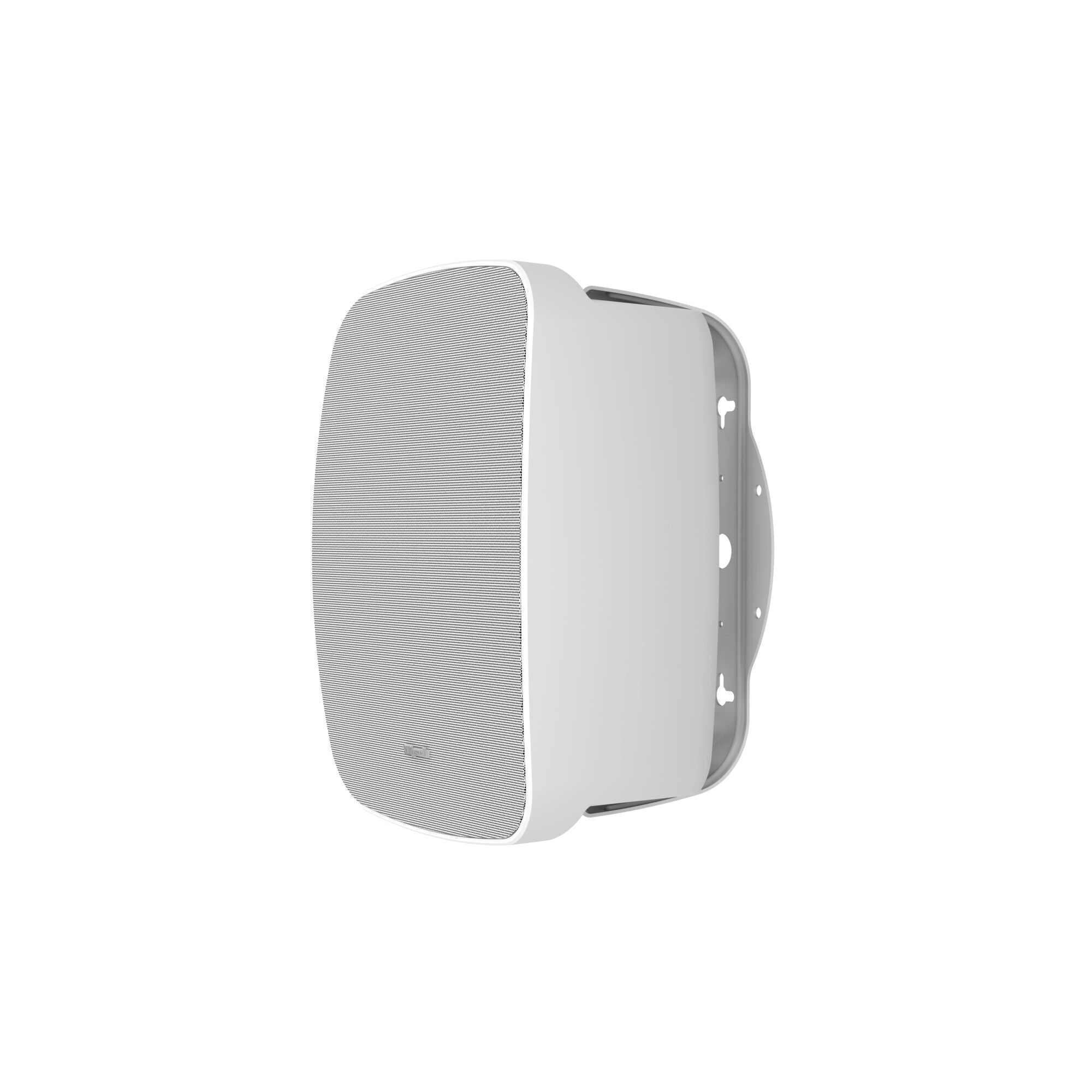 PSM-450T 4.5" Indoor/Outdoor Professional Surface Mount with Transformer (Single)