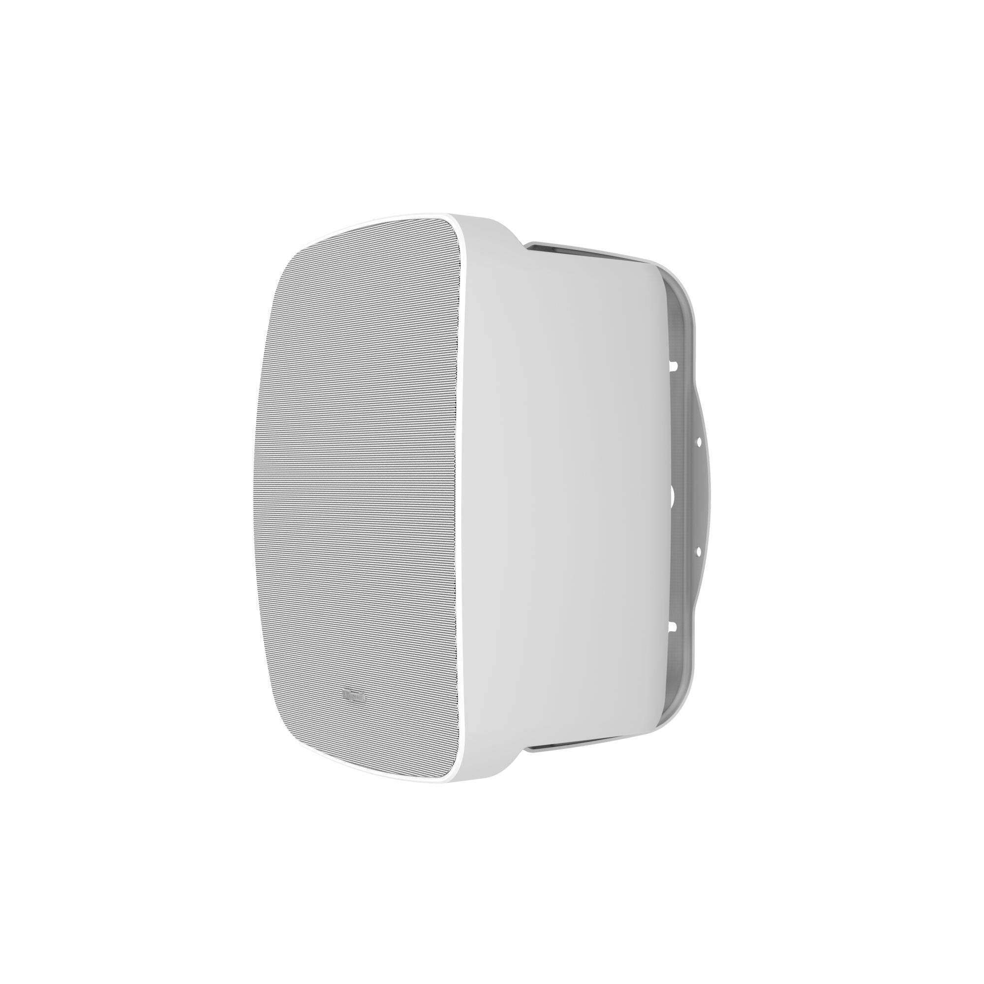 PSM-650T 6.5" Indoor/Outdoor Professional Surface Mount with Transformer (Single)