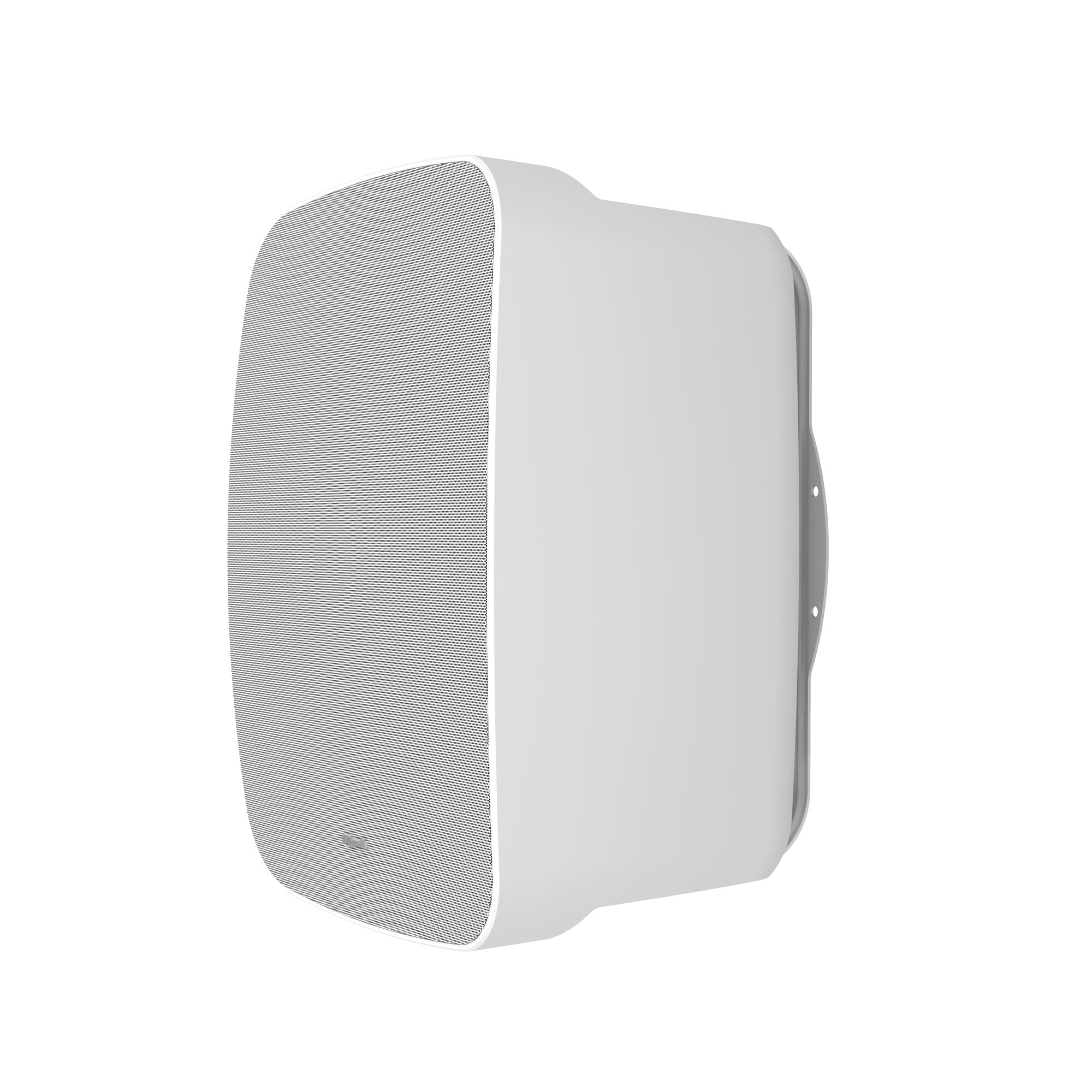 PSM-800T 8" Indoor/Outdoor Professional Surface Mount with Transformer (Single)