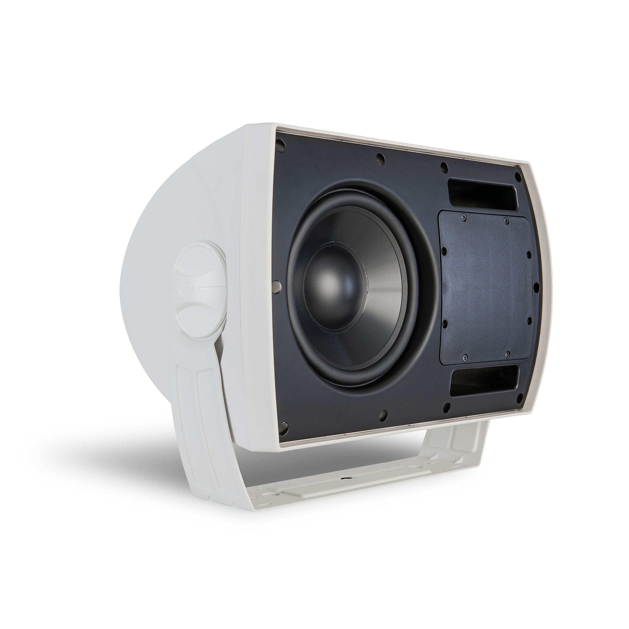 CA-800-TS Outdoor Passive Subwoofer (Single)