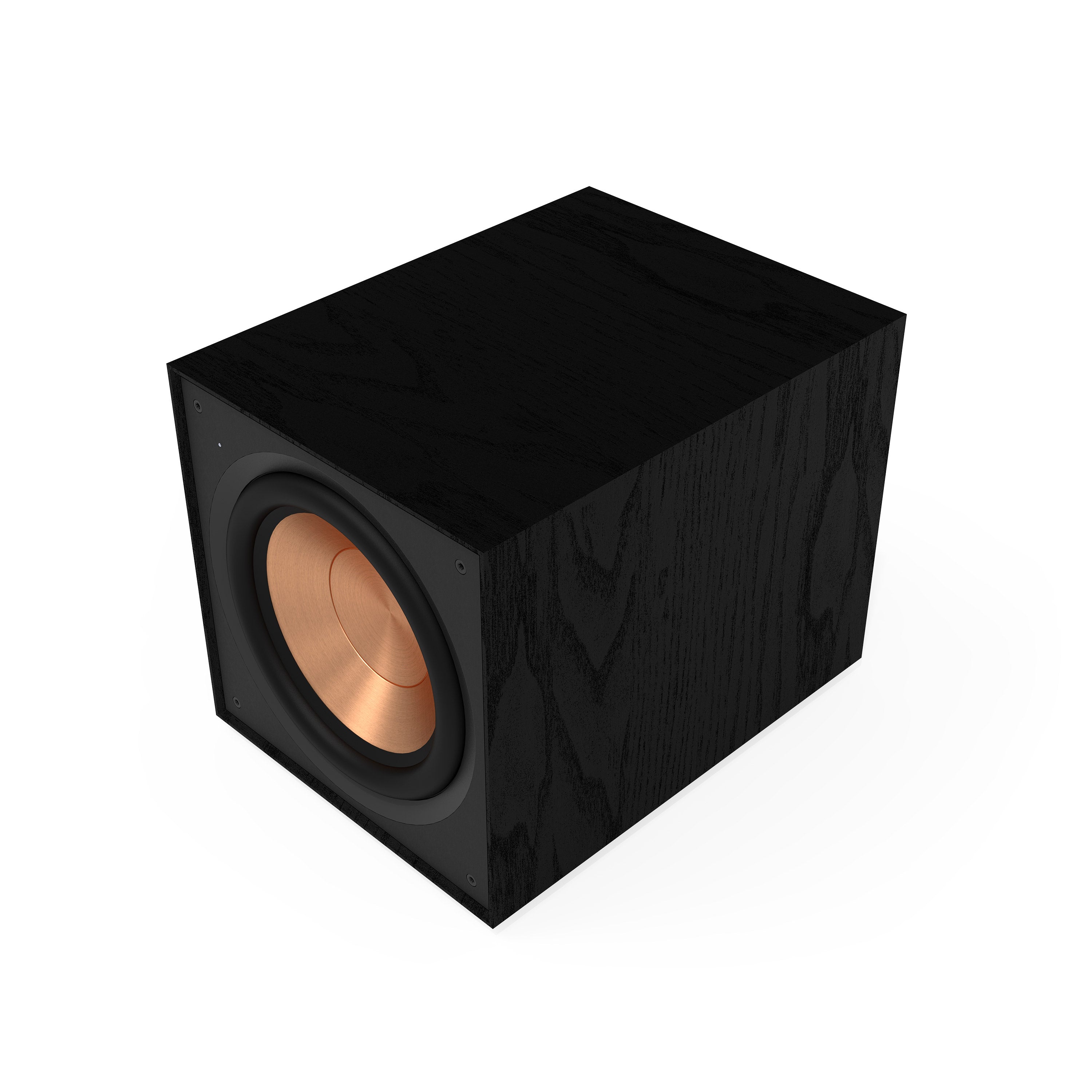 R-101SW 10" Subwoofer (Single)