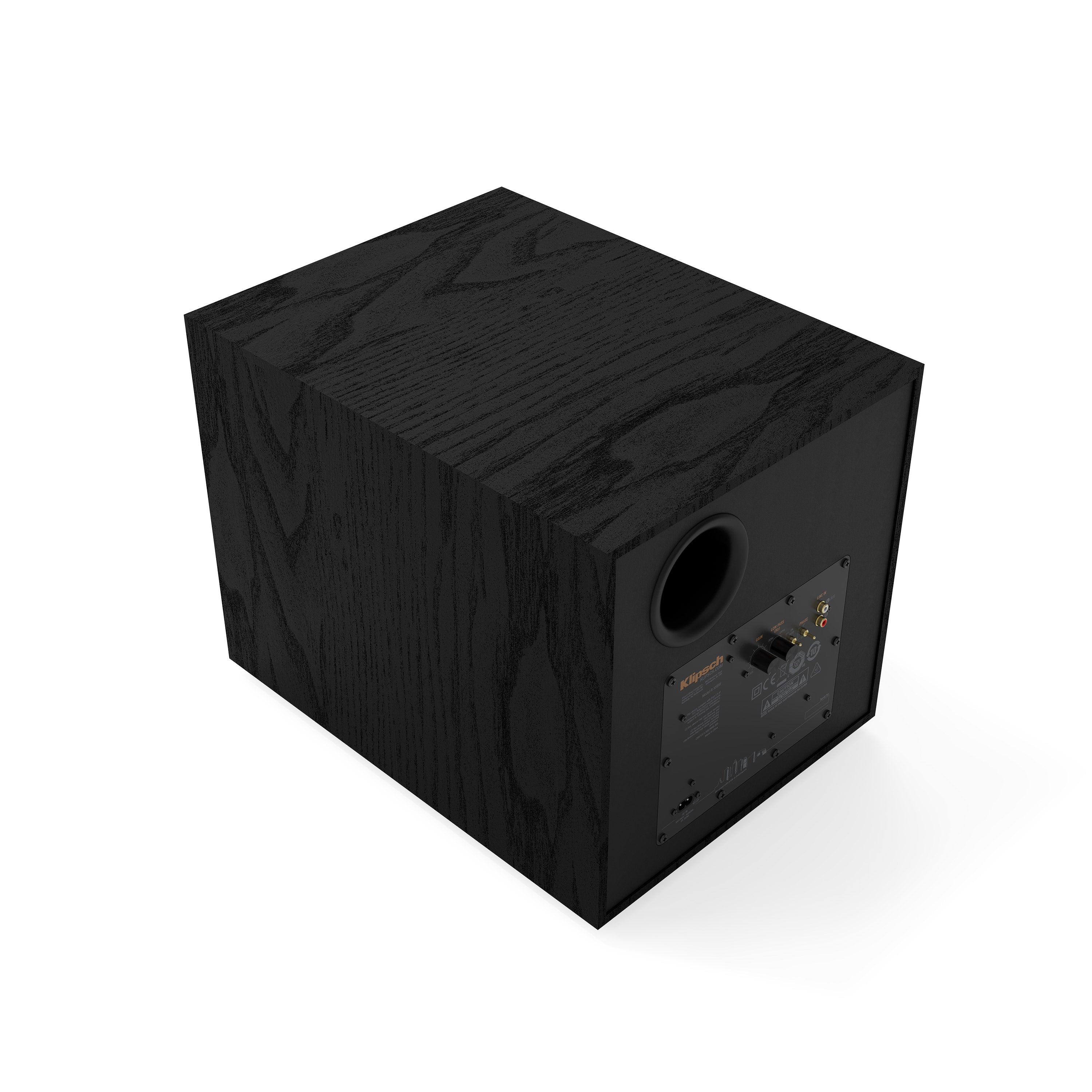 R-101SW 10" Subwoofer (Single)